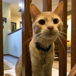 Meet your Posher, Amy